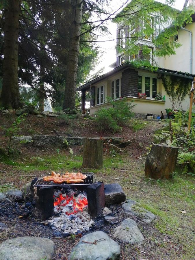 Dame Vam Pokoj - 4 Pokoje Se Sdilenou Kuchyni, Kapacita Max 9 Osob Harrachov Kültér fotó