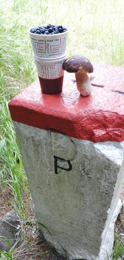 Dame Vam Pokoj - 4 Pokoje Se Sdilenou Kuchyni, Kapacita Max 9 Osob Harrachov Kültér fotó