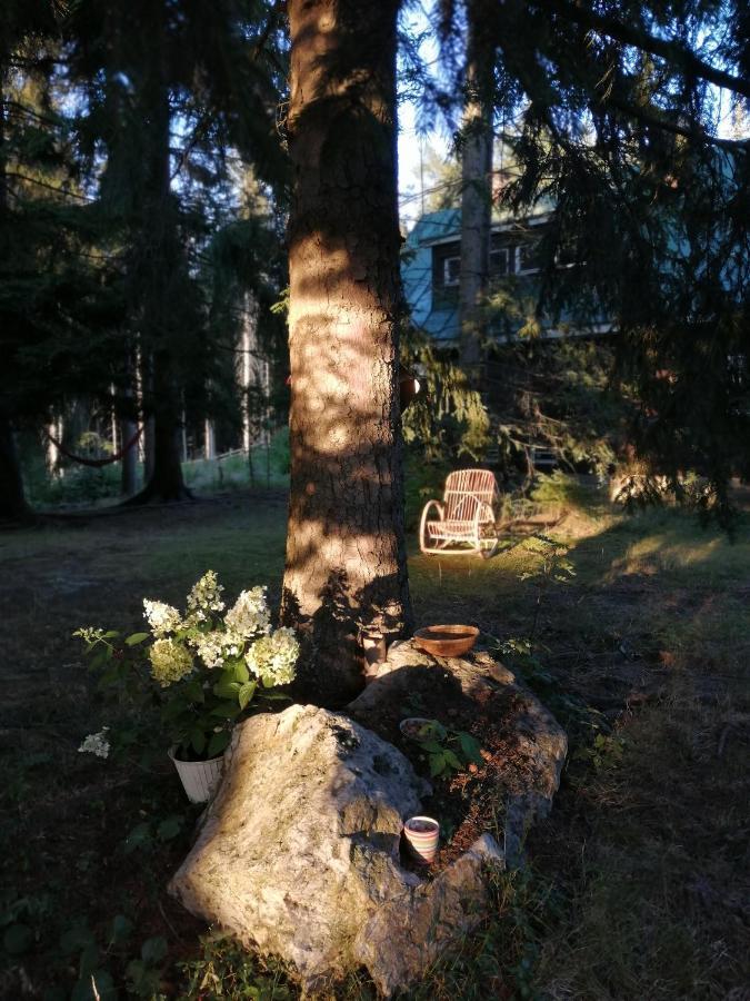 Dame Vam Pokoj - 4 Pokoje Se Sdilenou Kuchyni, Kapacita Max 9 Osob Harrachov Kültér fotó