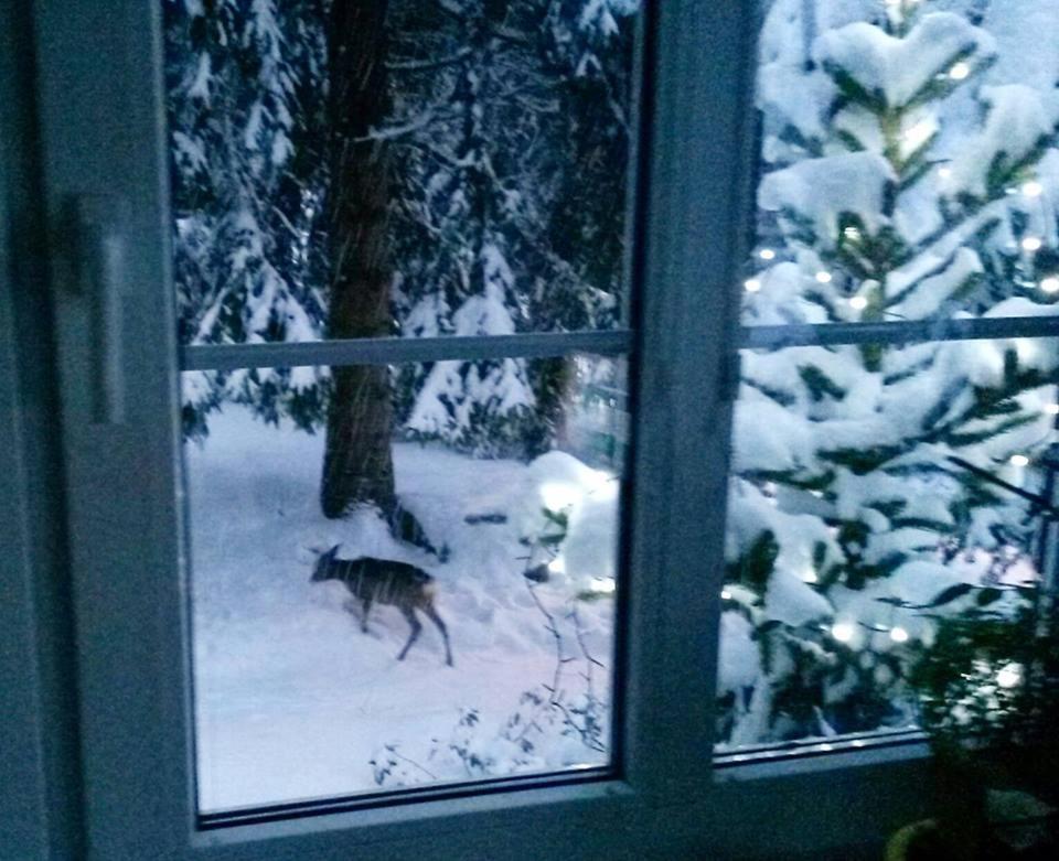 Dame Vam Pokoj - 4 Pokoje Se Sdilenou Kuchyni, Kapacita Max 9 Osob Harrachov Kültér fotó